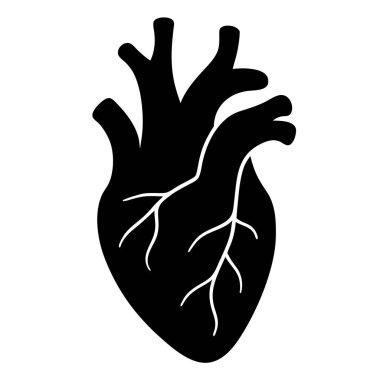 kalp insan organı simgesi vektör grafik çizim tasarımı