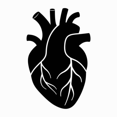 İnsan kalbi anatomisi simgesi, basit stil