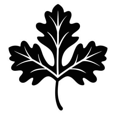 Meşe yaprağı simgesi. Meşe yaprağı vektör simgesi web için anahat çizimi