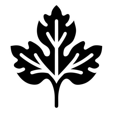 Akçaağaç yaprağı ikon vektörü. Akçaağaç yaprağı işareti. izole edilmiş sınır sembolü çizimi