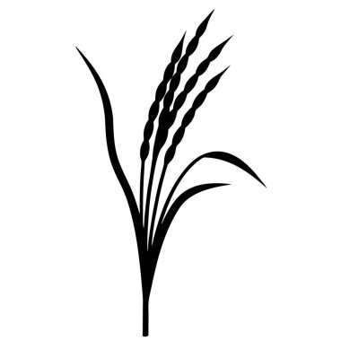 siyah ve beyaz buğday kulakları. vektör simgesi.