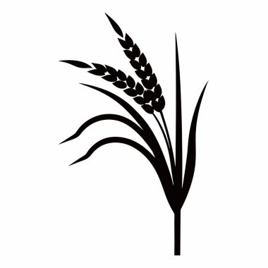 Buğday kulağı ikonu. Web için buğday kulak vektör simgesinin basit çizimi