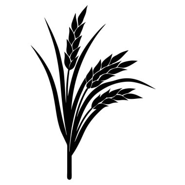 Beyaz arkaplanda siyah renkli buğday simgesi