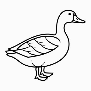 Kaz vektörü çizimi, çizgi tasarımı