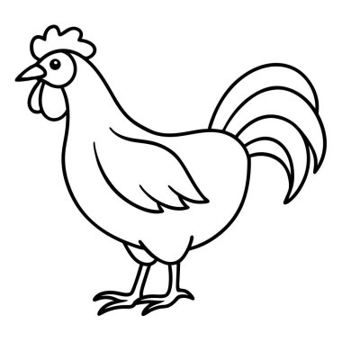 Boyama sayfası, çizgi film horozu. boyama kitabı