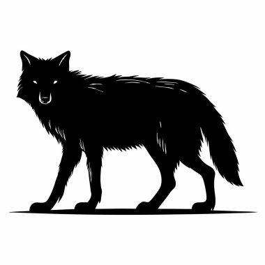 Beyaz arka planda izole edilmiş kurt vektör çizimi. vektör illüstrasyonu.