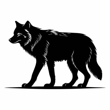 beyaz arka plan üzerinde siyah kurt