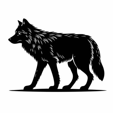 Kurt silueti vektörü. Kurt başı izole edildi