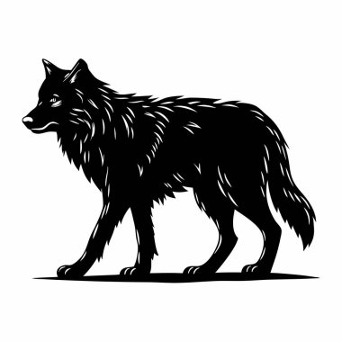 Kurt siyah kurt vektör çizimi. Beyaz arkaplanda izole edilmiş vektör.