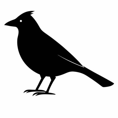 Siyah kuzgun, vektör illüstrasyonu