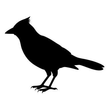 Beyaz arka planda siyah siluet karga. vektör illüstrasyonu.