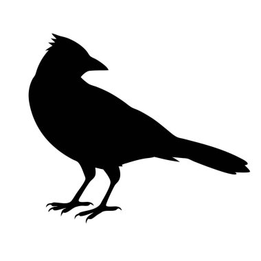 siyah bir kuzgun silueti