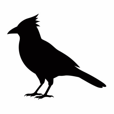 Siyah bir karga silueti. vektör