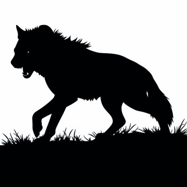 Beyaz arka planda Wolf 'un vektör silueti