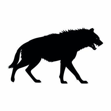 Siyah kurt. Siluet beyaz arkaplanda izole edildi.