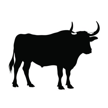İneğin silueti. Vektör illüstrasyonu.