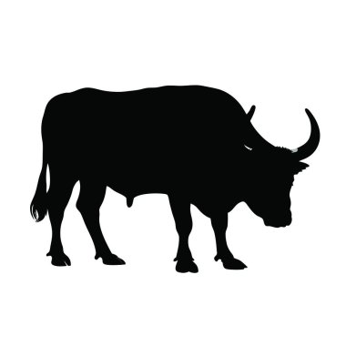 Bir boğanın silueti