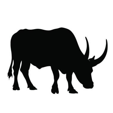 Beyaz arka planda boğa çizimi. Saçmalık. 12016 boğa ikonunun sembolü.