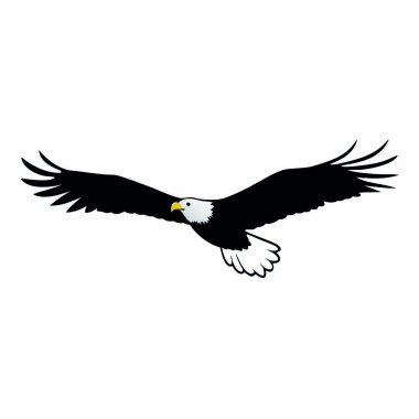Gökyüzü vektöründe uçan kartal