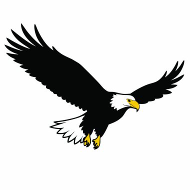 Siyah beyaz çizgili kartal, beyaz arkaplanda izole edilmiş resimleme