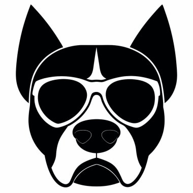 Güneş gözlüklü buldog.