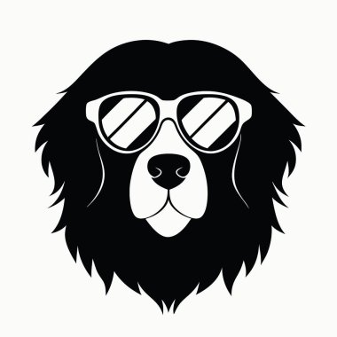 siyah beyaz gözlüklü köpek