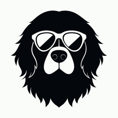 Güneş gözlüklü ve şapkalı köpek.