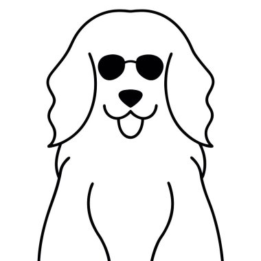 Bununla birlikte güneş gözlüklü şirin köpek