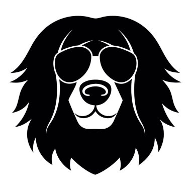 siyah ve beyaz köpek