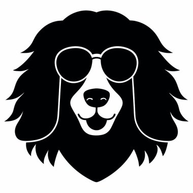 Güneş gözlüklü bir köpeğin kafası.