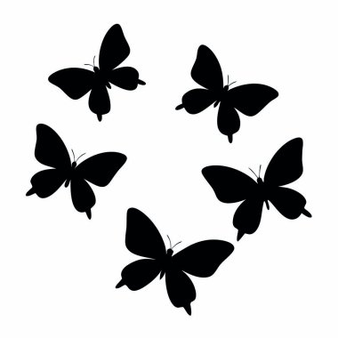 Beyaz arkaplanda siyah bir kelebek