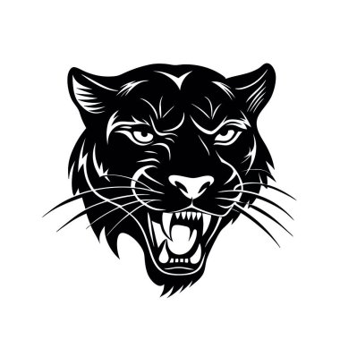 Siyah panter, koca kafalı.