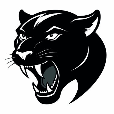 Bir kedinin kafası ve kafası..