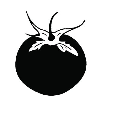 Beyaz arkaplana domates çizimi.