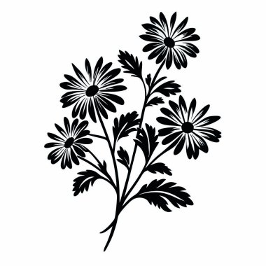 Kasımpatı 'nın el çizimi çiçeği. Siyah çiçek. Vektör çizimi. beyaz arkaplanda izole.