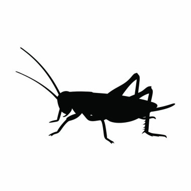 böceğin siyah silueti