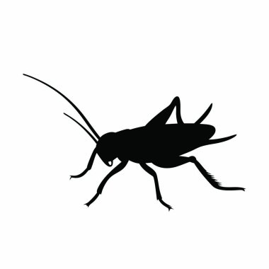 Siyah çekirge silueti. vektör illüstrasyonu