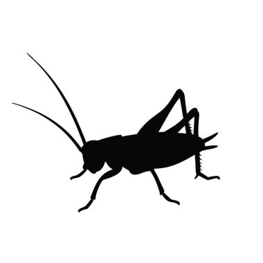 Böceğin vektör silueti. beyaz arkaplanda izole.