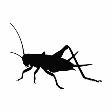 Beyaz arkaplanda siyah böcek silueti