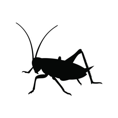 Böcek ve böcek logosunun vektör tasarımı. Böcek ve Böcek stok vektör illüstrasyonunun koleksiyonu.