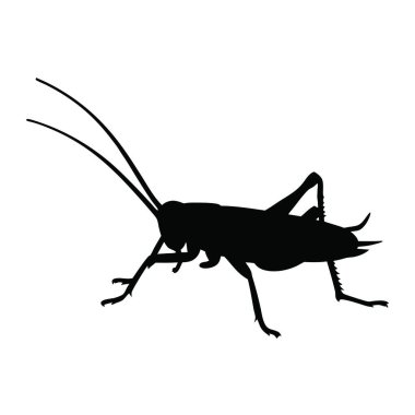Bir böceğin siyah silueti.