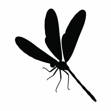 Yusufçuk vektör gösterimi