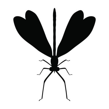 bir sineğin vektör silueti
