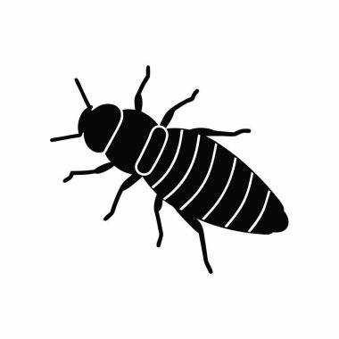 Böcek ve sinek logosu yalıtılmış nesne. Böcek ve öğe hisse senedi simgesi için web topluluğu.