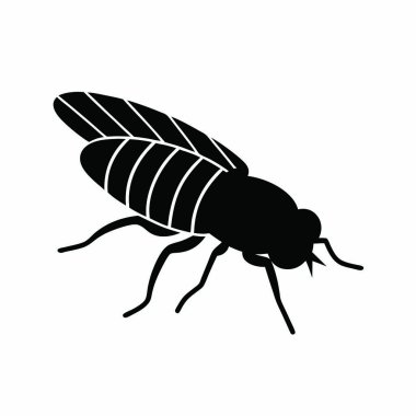 uçan böceğin siyah silueti