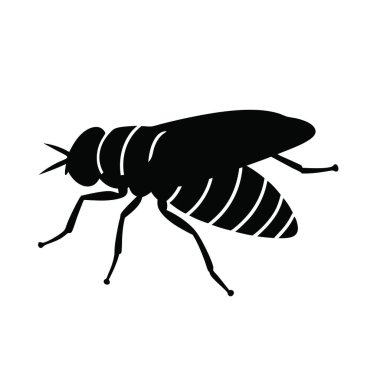 Böcek ve sinek sembolünün vektör çizimi. Web için böcek ve hayvan stoku sembolü koleksiyonu.