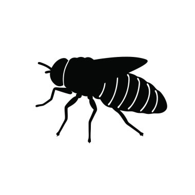 Siyah böcek vektör simgesi. Beyaz arkaplanda izole edilmiş düz çizim logosu.