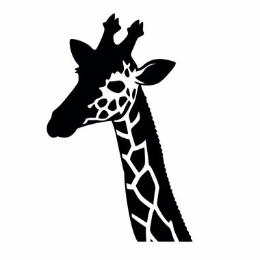 Zürafa silueti. Beyaz arkaplanda vektör illüstrasyonu.
