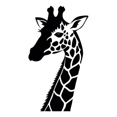 zürafa beyaz arka plan üzerinde vektör çizim