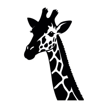 Beyaz arka plan üzerinde izole zürafa başını